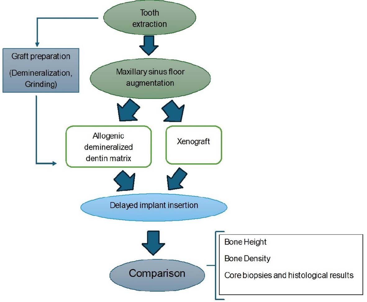 Graphical Abstract