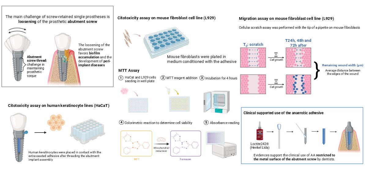 Graphical Abstract
